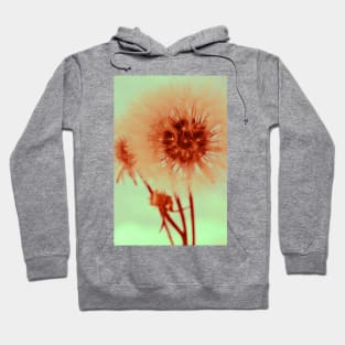 Dandelion II Hoodie